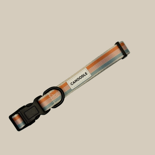 CANOODLE Dog collar