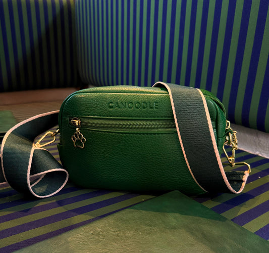 A green PUleather crossbody bag with a matching green and pink striped strap, resting on a striped couch. The brand name CANOODLE is embossed on the front above a zippered pocket.
