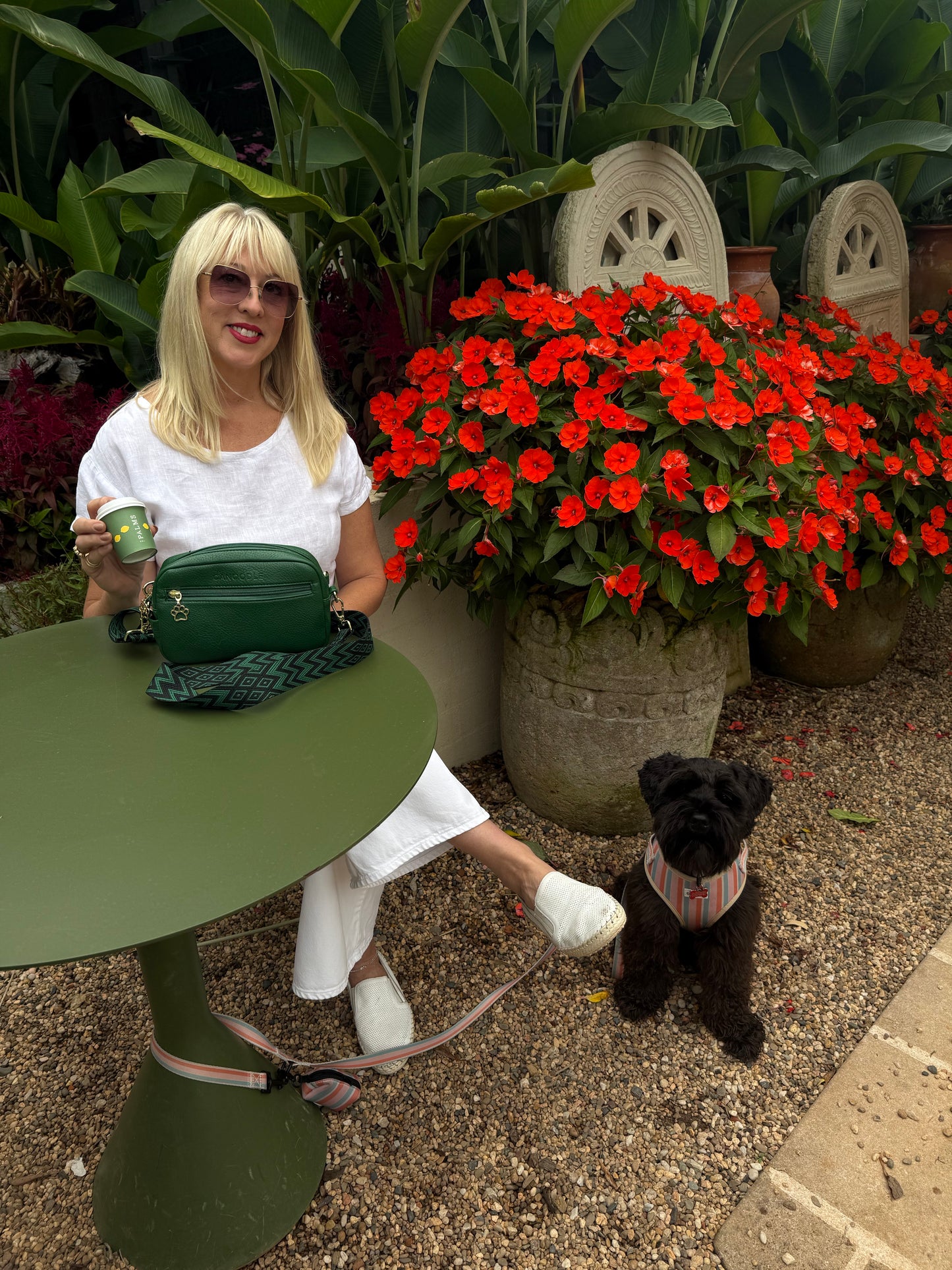 The Active-Dog Walking Bag (Green)