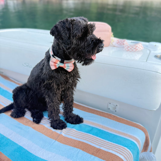 BOW TIE- The Newport Collection