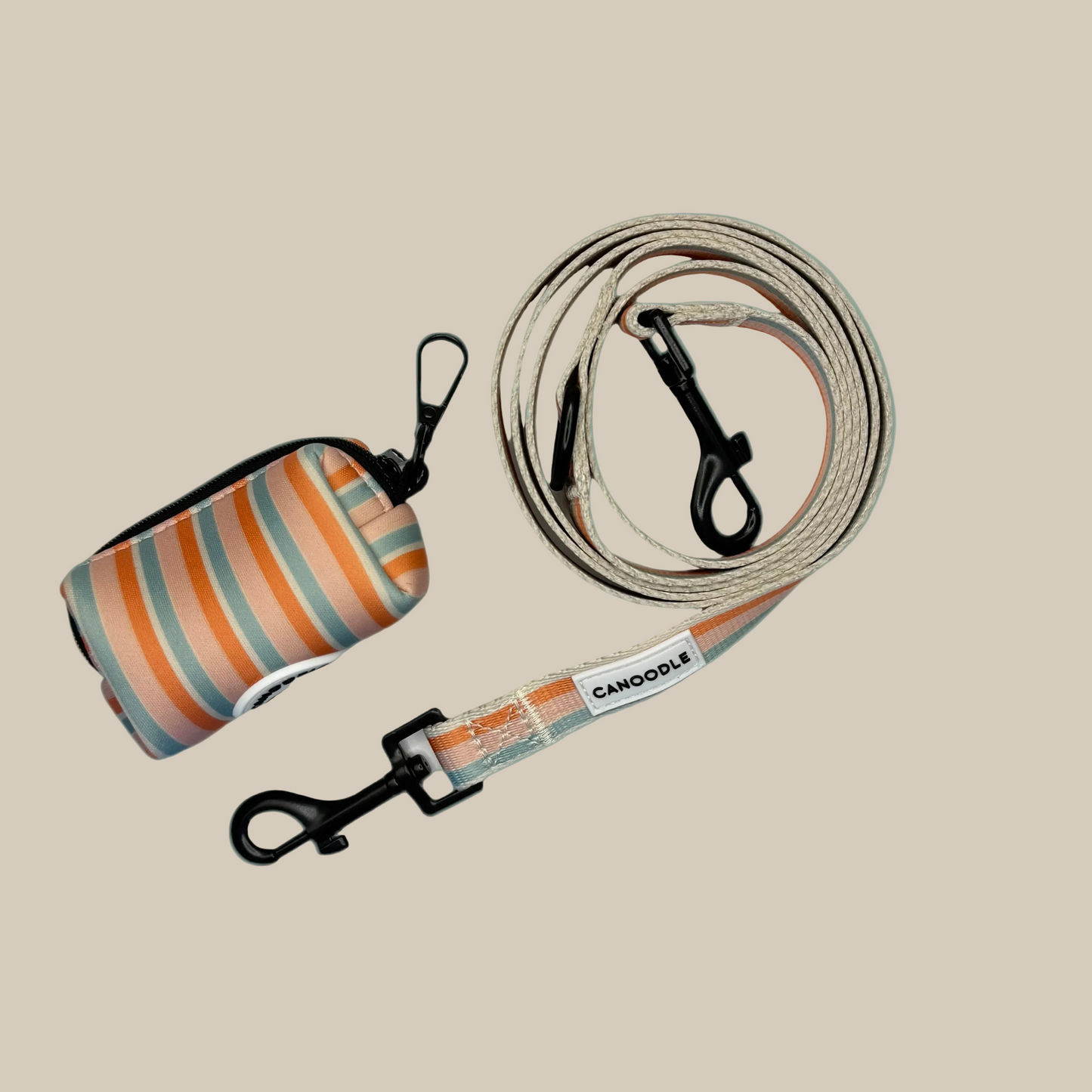 CANOODLE Dog leash and collar set with striped design 