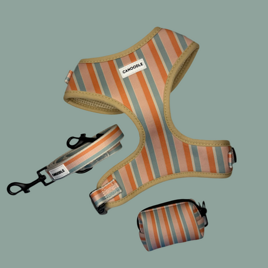 Striped dog harness, leash, and bag set on a green background