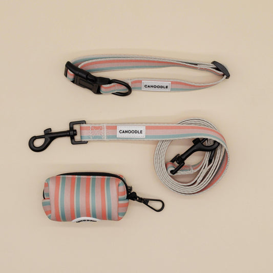 Best Seller Basic Bundle - Collar, Lead, Poop Bag Dispenser