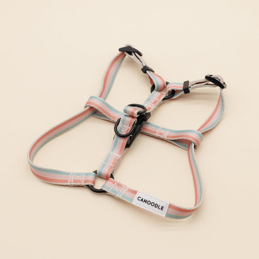 Step-In  Harness -Adjustable