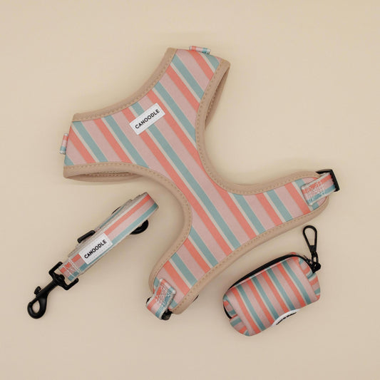 Chest Harness Bundle - Chest Harness, Lead, Poop Bag Dispenser