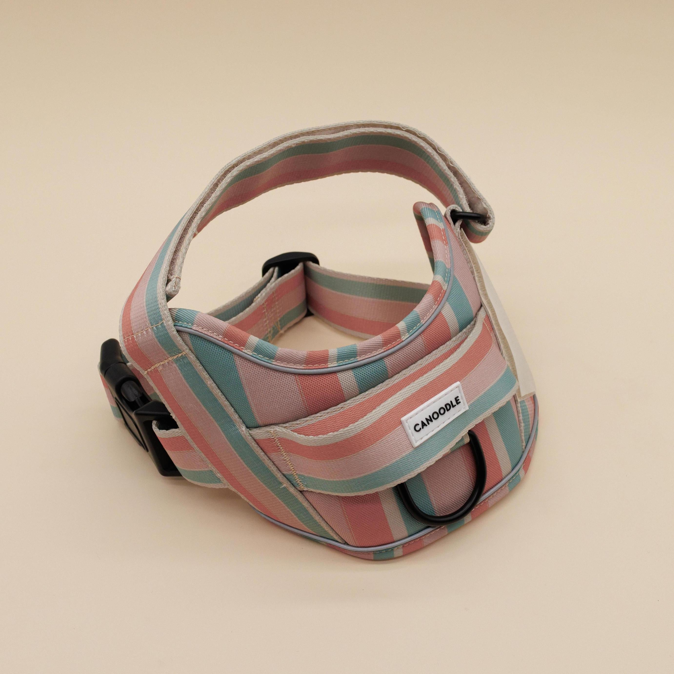 Colourful striped dog harness with 'Candoodle' brand label 