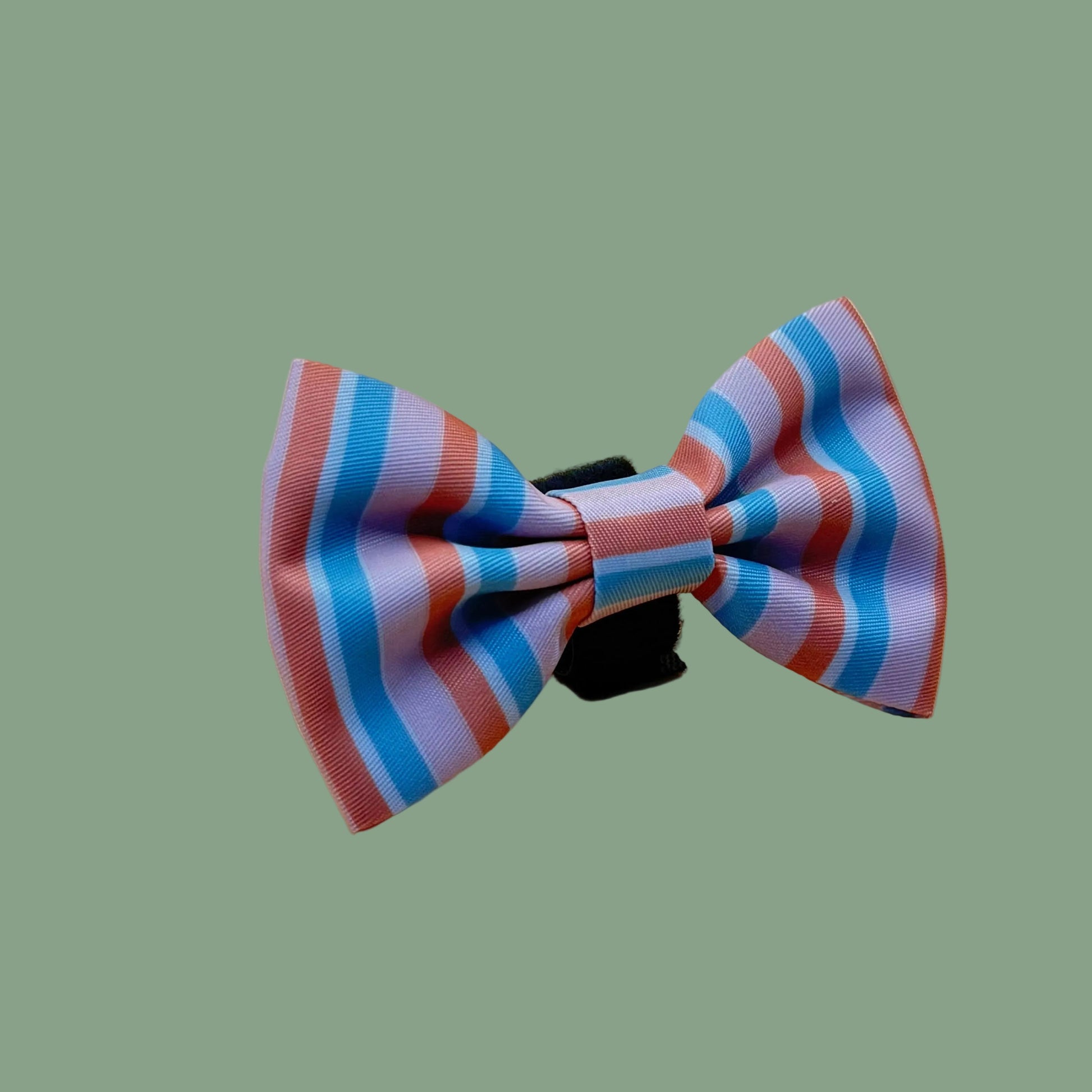 Striped bow tie with a velcro attachment