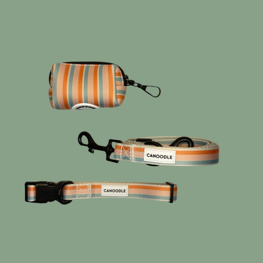 Dog collar, leash, and pouch with striped pattern 