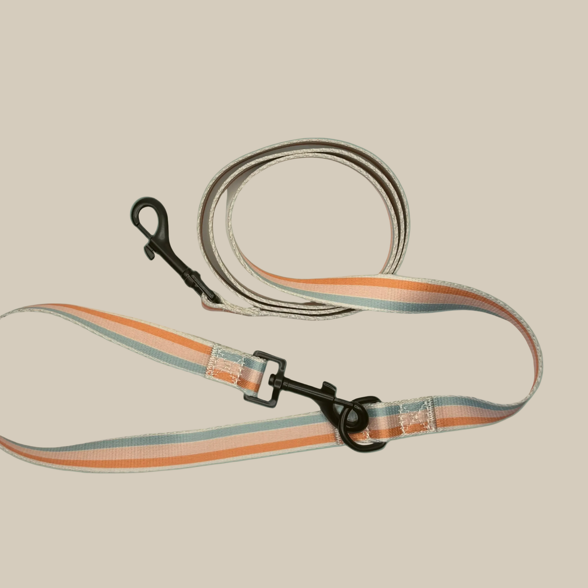 Dog leash with reflective strip 