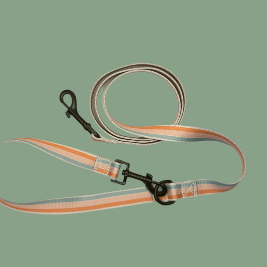 Dog leash with reflective strip 