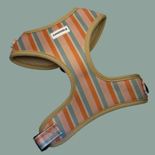 Newport chest harness  protects the neck much better than a collar by distributing leash pressure across the dog’s chest and shoulders, reducing the chance of throat injury or choking, and giving you more humane control during walks and leash-pulling situations. 