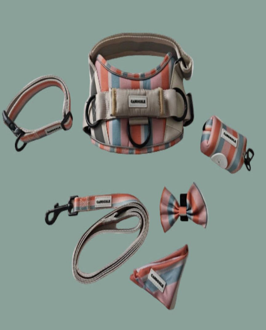 Dog harness, leash, and accessories with striped pattern.