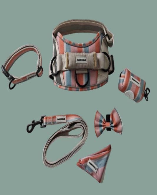 Dog harness, leash, and accessories with striped pattern.