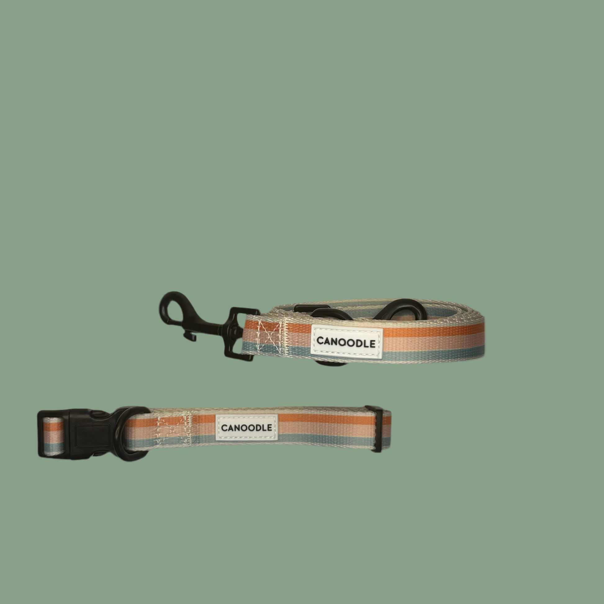 Dog collar and leash set with 'Canoodle' branding 