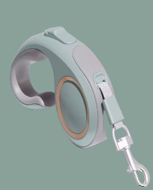 Pastel green retractable dog leash on a gray background