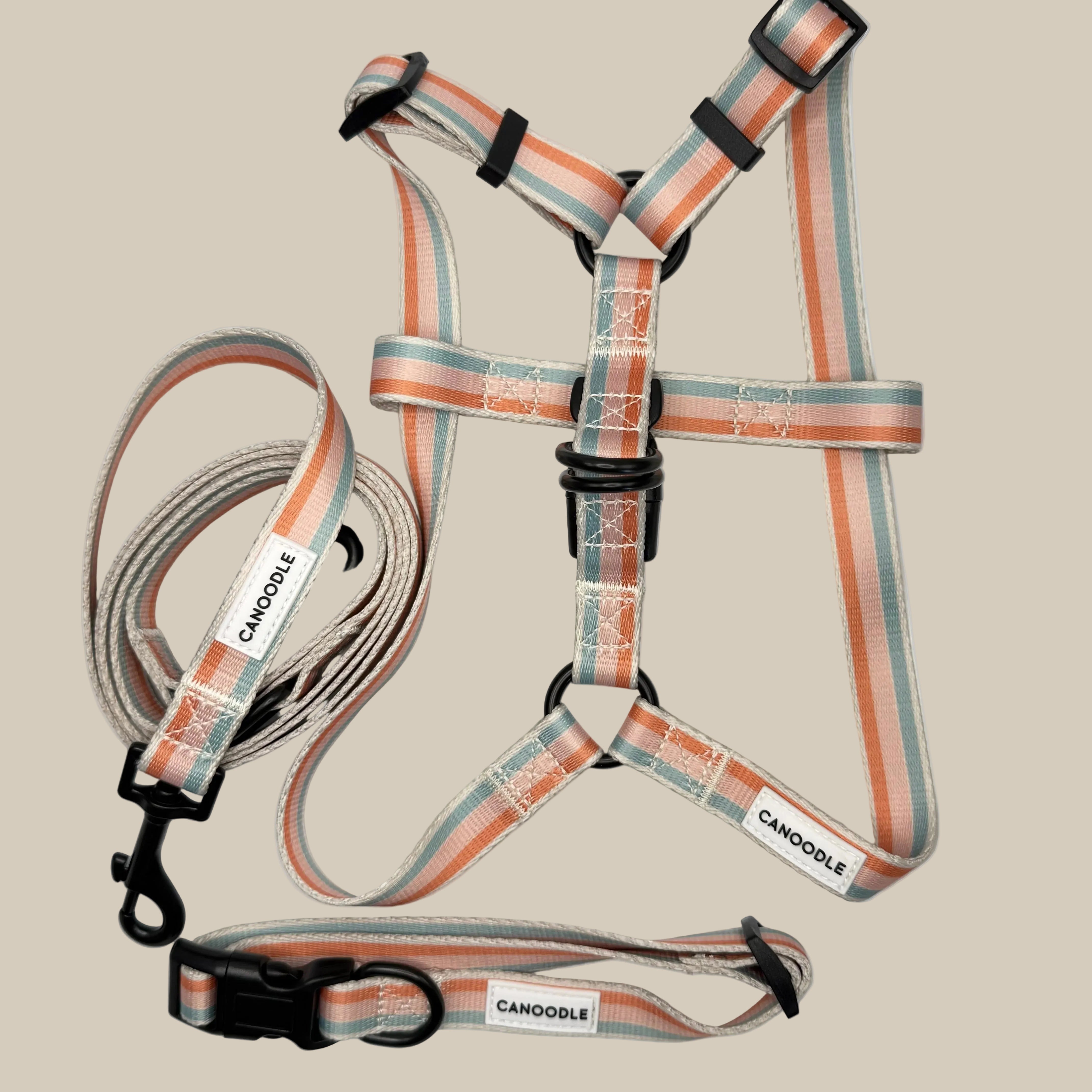 Step-In Harness, Smart Lead and Collar Bundle - The Newport Collection