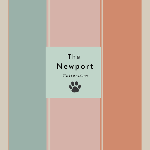 The Newport WHOLE KIT AND 'CANOODLE'
