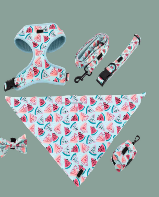 Dog accessory set with watermelon pattern including harness, leash, collar, bandana, and bow tie Doggy bag.