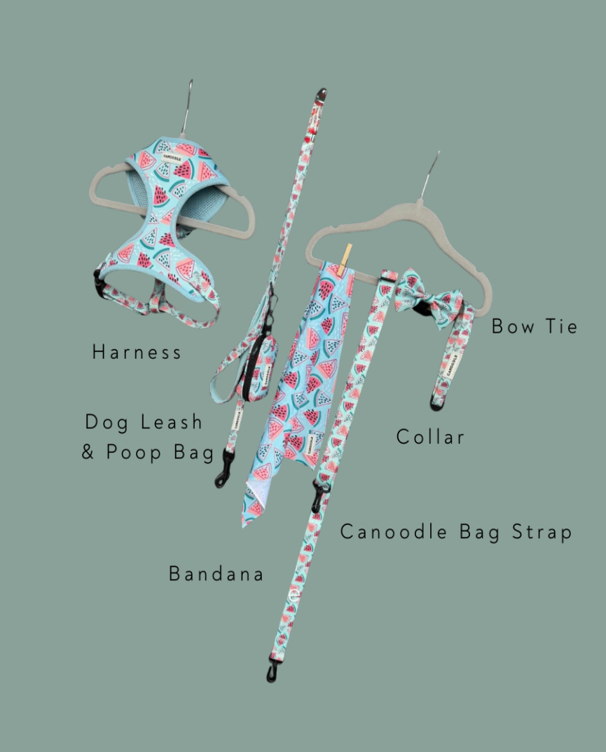 Watermelon Collection Bundle (6 Pieces)