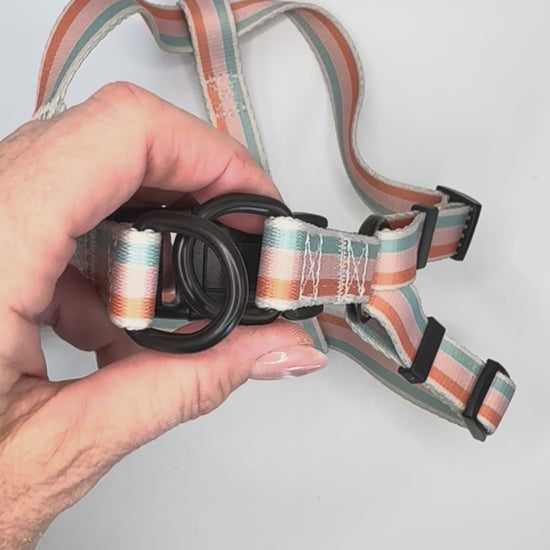 Strap Harness - How does it work?
